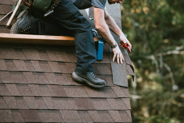 Best Emergency Roof Repair  in Jonesville, MI